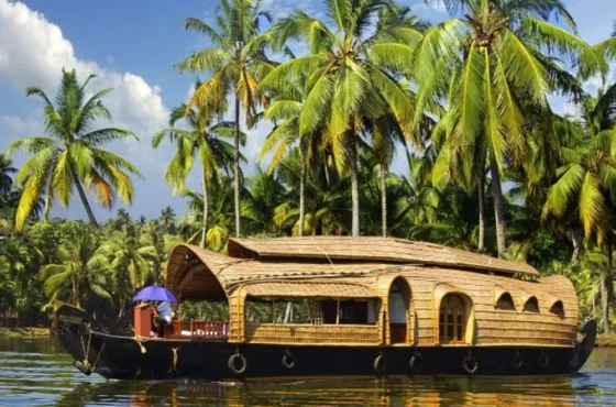 KERALA DELIGHTS