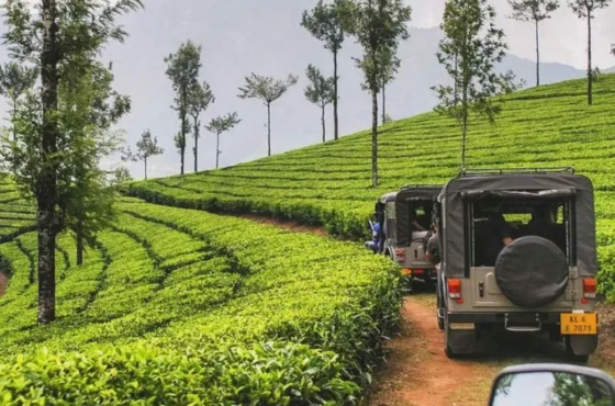 RELAX KERALA WILDLIFE TOUR