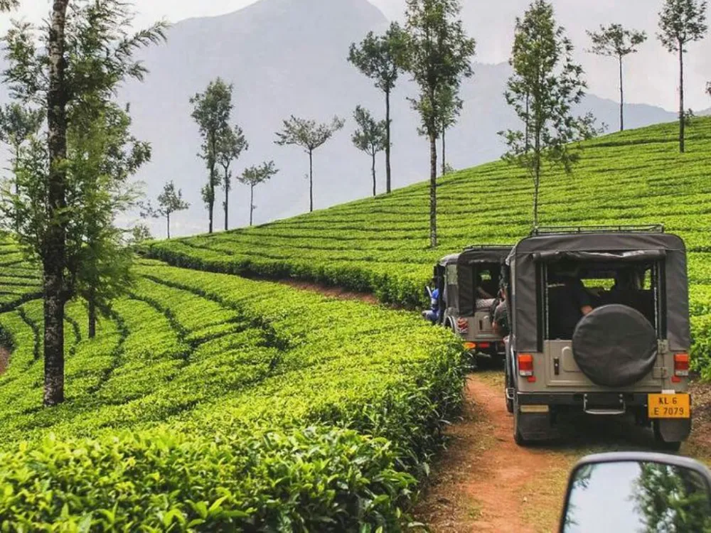 RELAX KERALA WILDLIFE TOUR