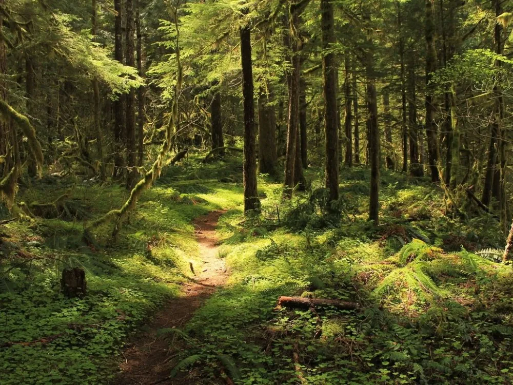 SOUTHERN WILDERNESS TRAIL