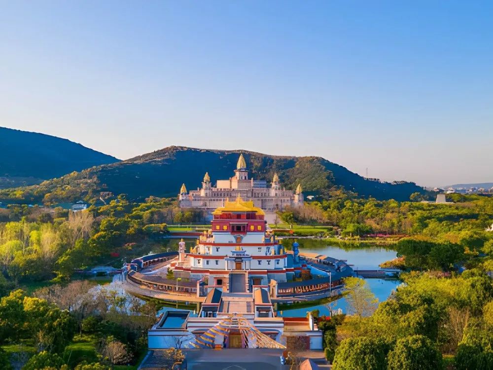 The China Spring Blossom