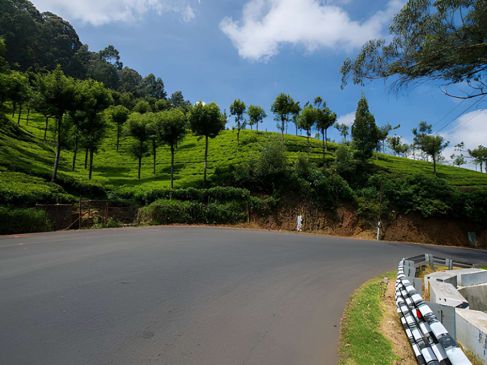 Essence of Karnataka with Ooty