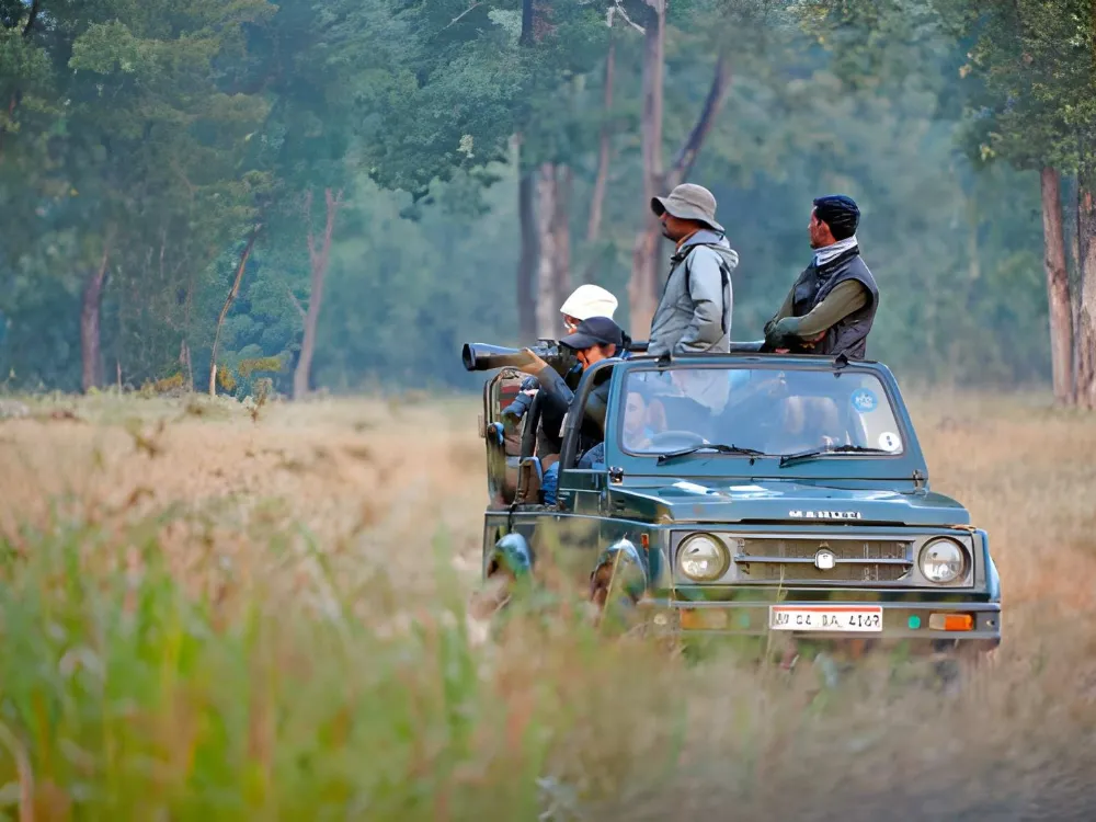 Kanha Jungle Safari