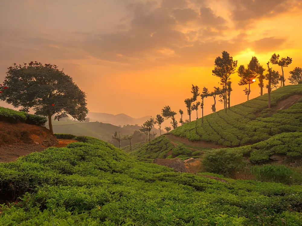 Relax Kerala Wildlife Tour