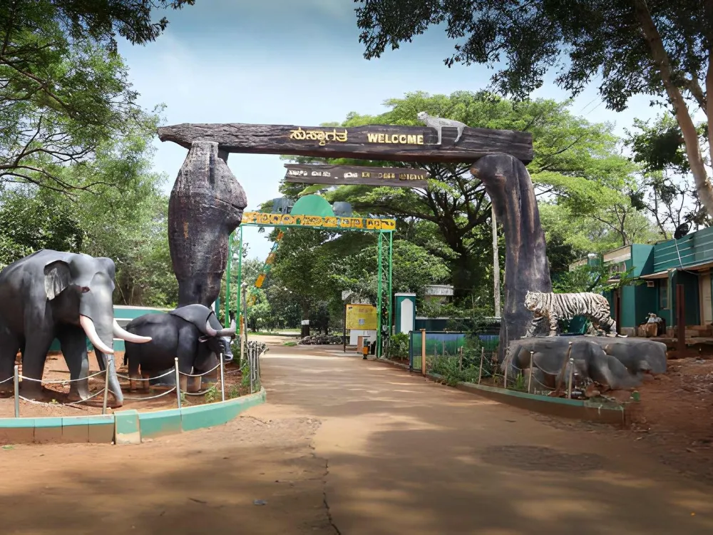 Southern Wilderness Trail