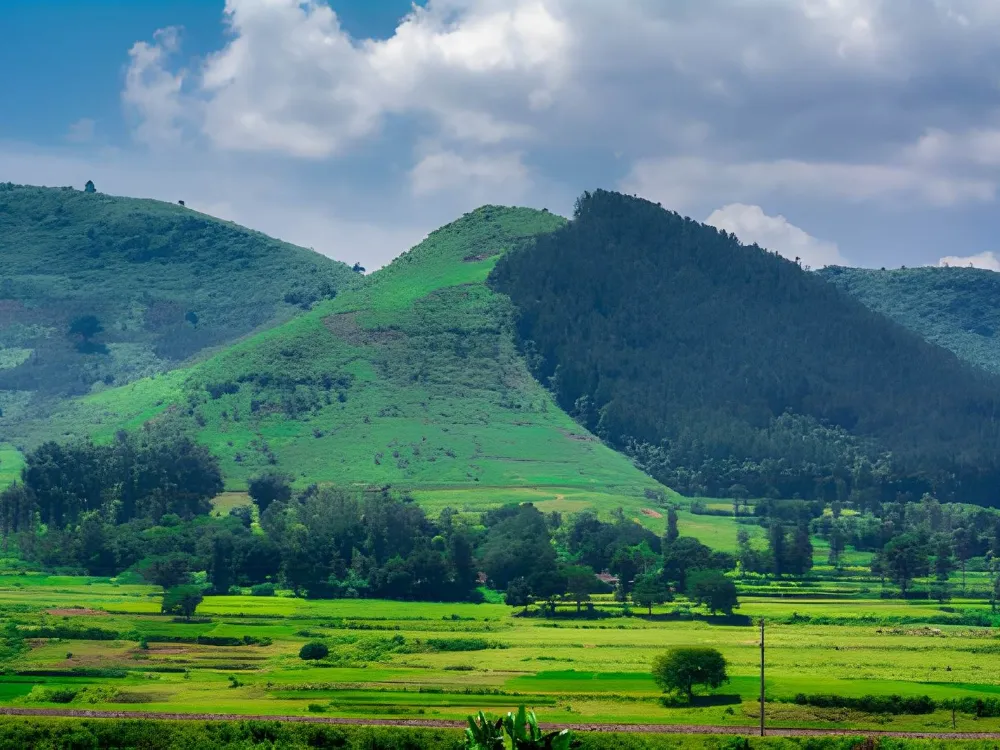 The Ooty of Andhra